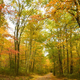 Image for article titled 48 Photos Of Autumn Around The World